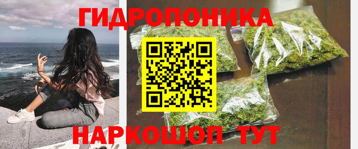 Бошки Шишки THC 21% Сердобск